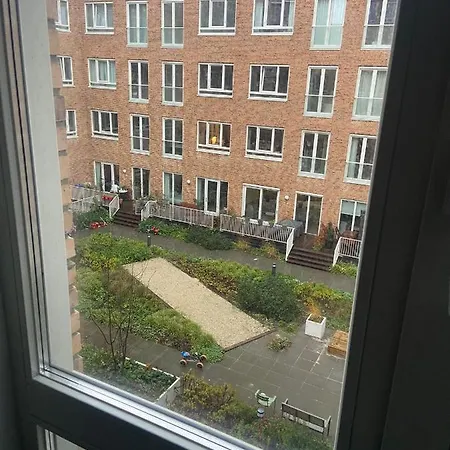 In Amsterdam